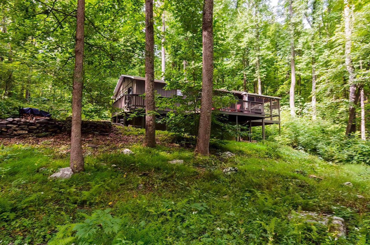 Secluded Oasis W Hot Tub, Screened-In Porch, Wifi! Berkeley Springs Exteriér fotografie
